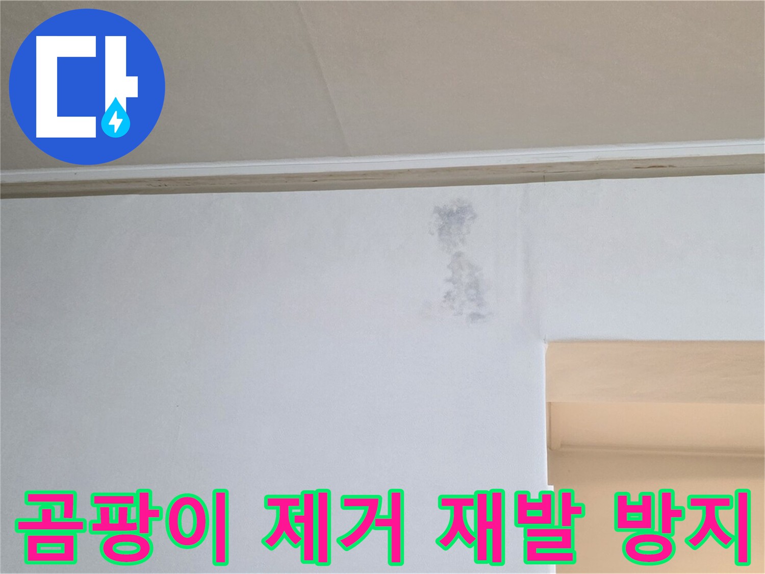 곰팡이 제거 및 재발 방지 시공 - 쾌적한 공간 조성