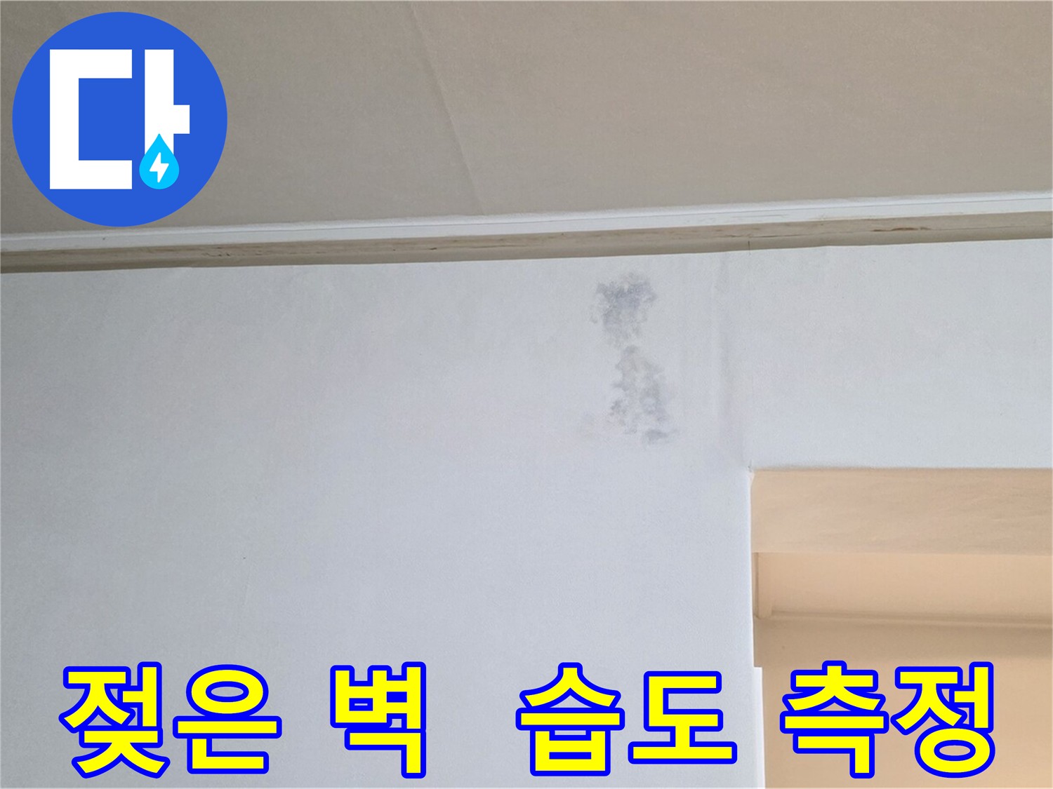 젖은 벽면의 습도 측정 - 누수 정도 파악