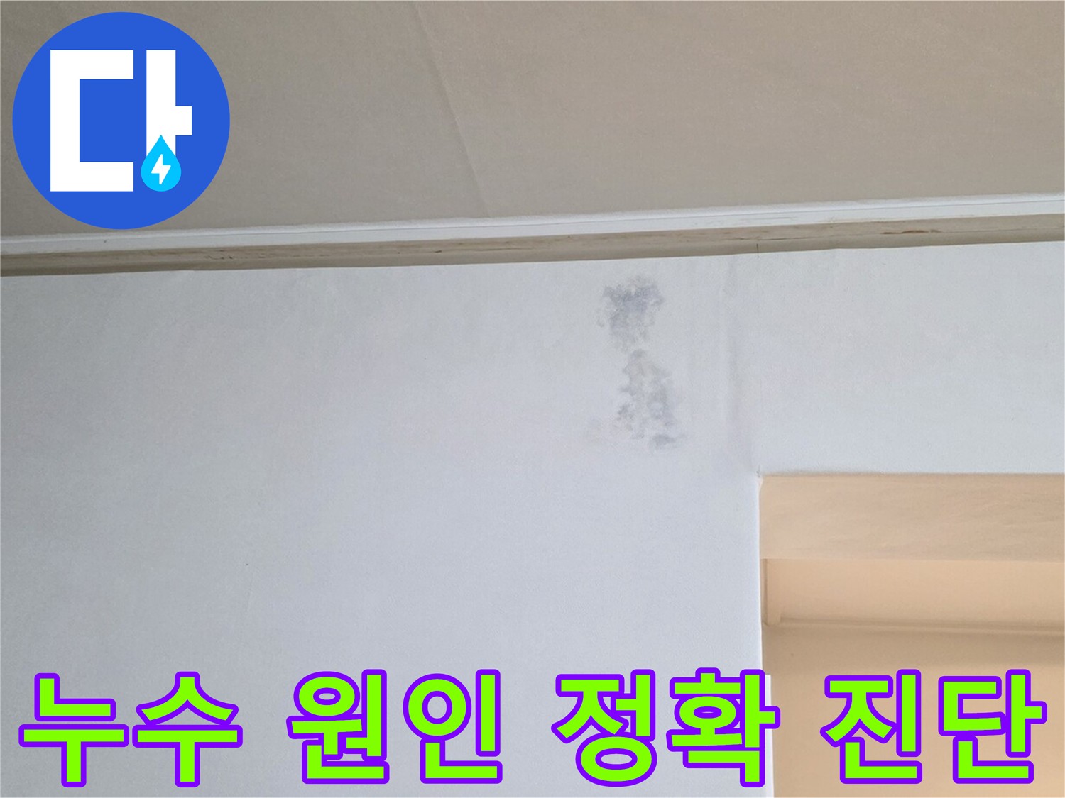 누수 원인 정확히 진단 - 첨단 장비 활용