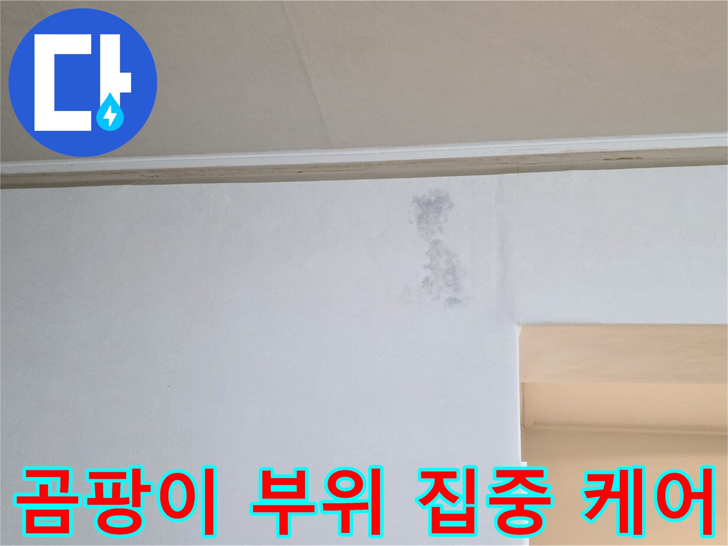 곰팡이 발생 부위 집중 케어 - 꼼꼼한 관리