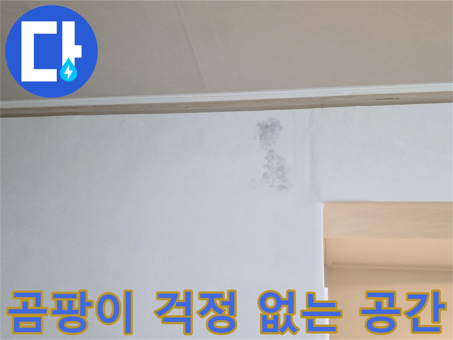 곰팡이 걱정 없는 쾌적한 공간 - 건강한 생활
