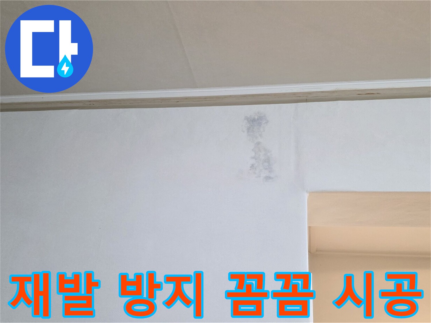 재발 방지를 위한 꼼꼼한 시공 - 완벽 방수