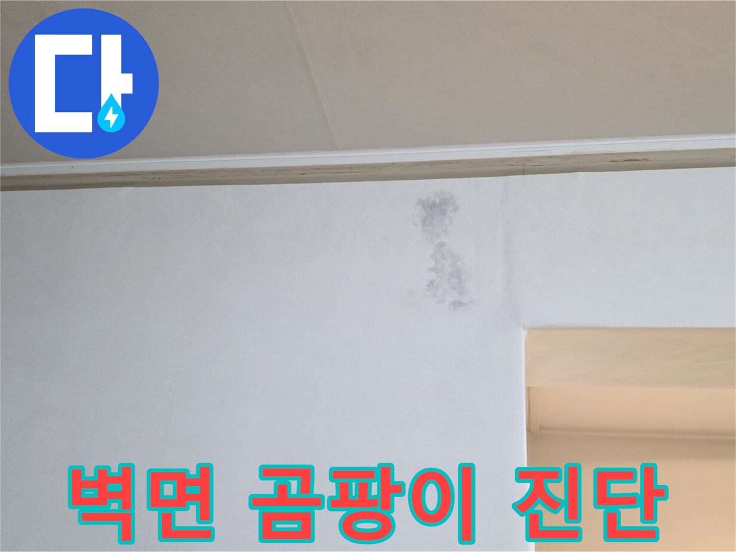 벽면 곰팡이 발생 - 누수 또는 결로 의심