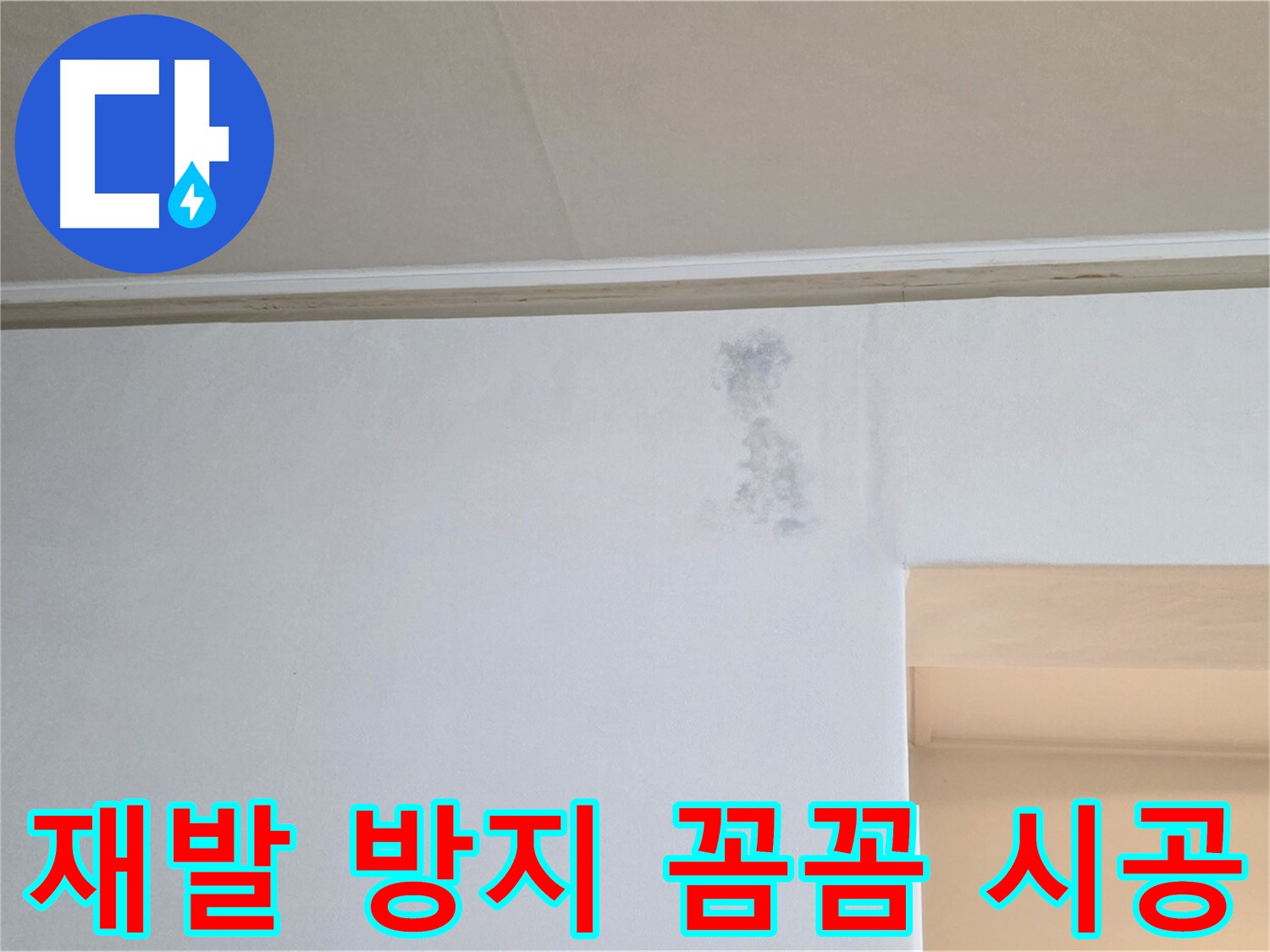 재발 방지를 위한 꼼꼼한 시공 - 완벽 방수