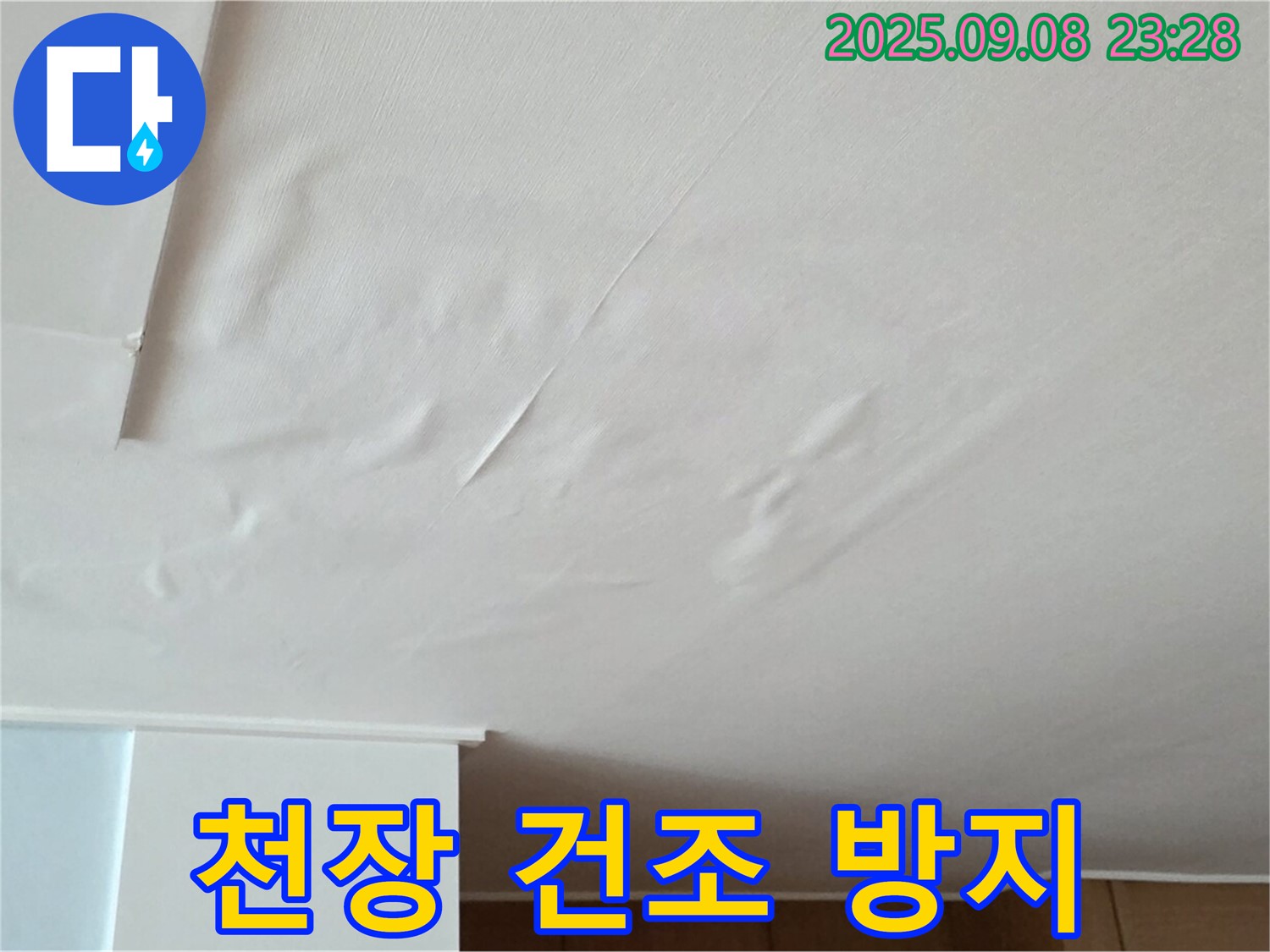 천장 누수 탐지 - 젖은 천장 긴급 건조 및 곰팡이 방지 시공