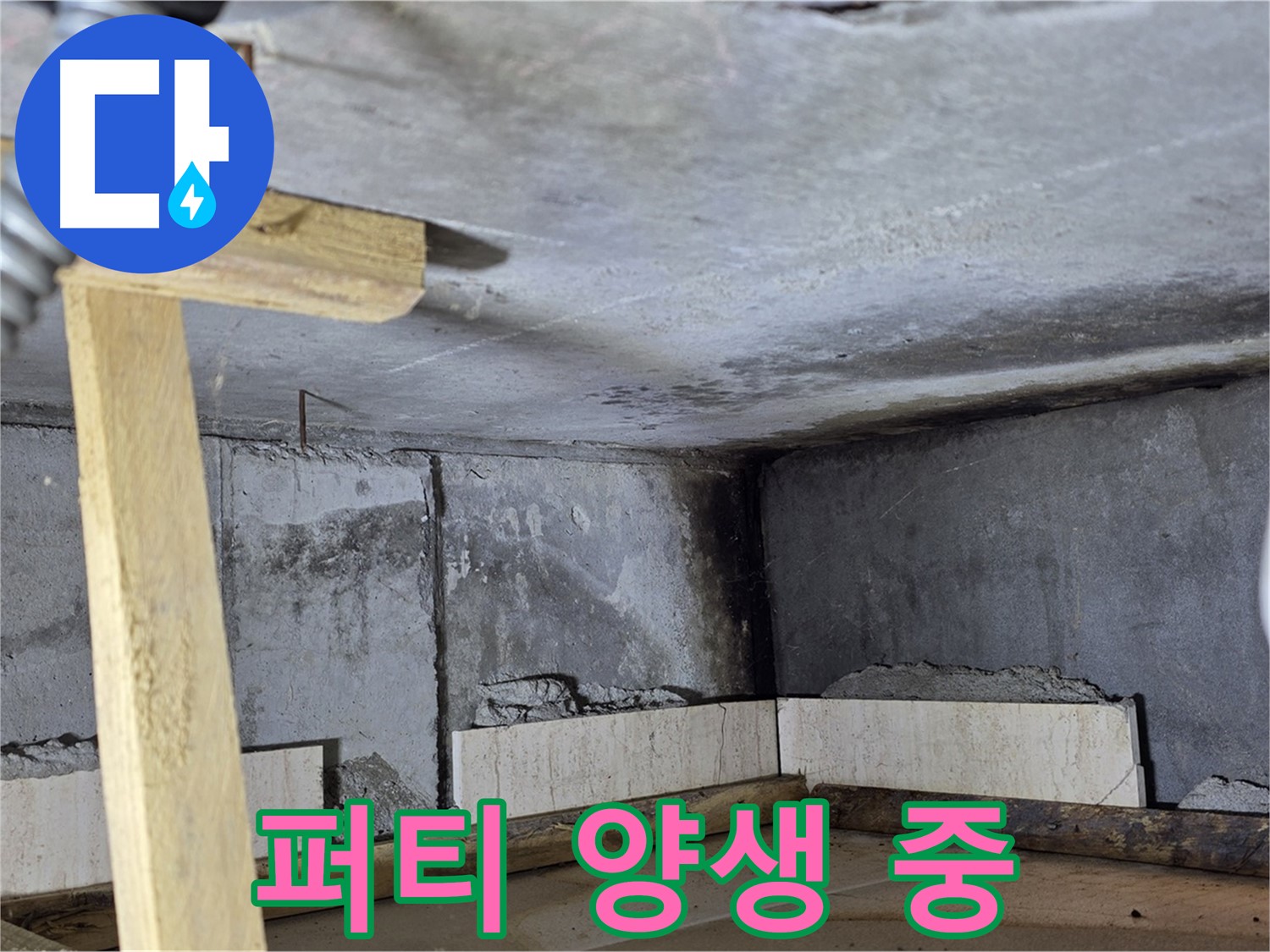 천장 퍼티 - 양생 및 건조 과정