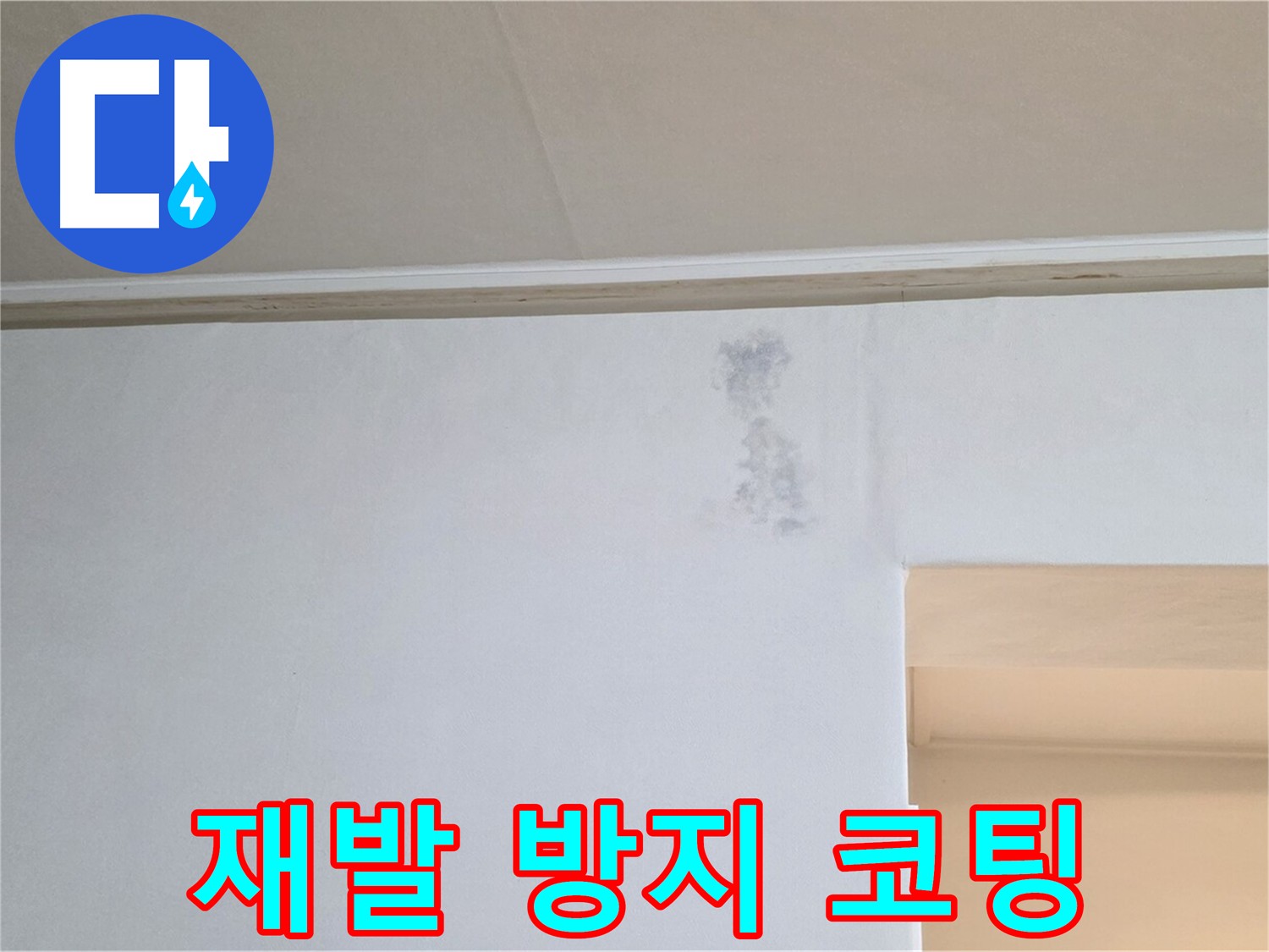 곰팡이 재발 방지 코팅 작업 - 꼼꼼한 시공