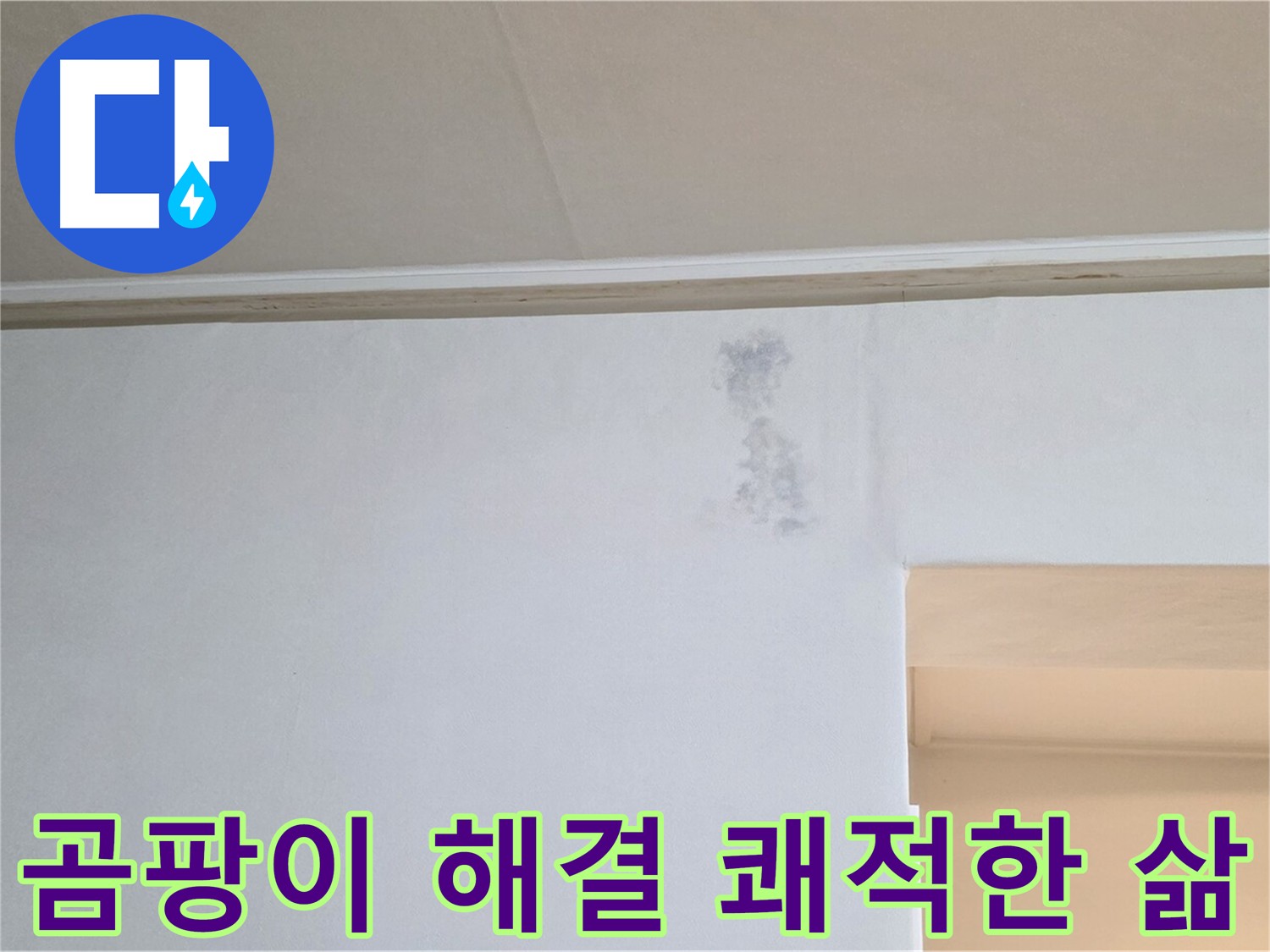 곰팡이 문제 해결 - 고객님의 쾌적한 삶
