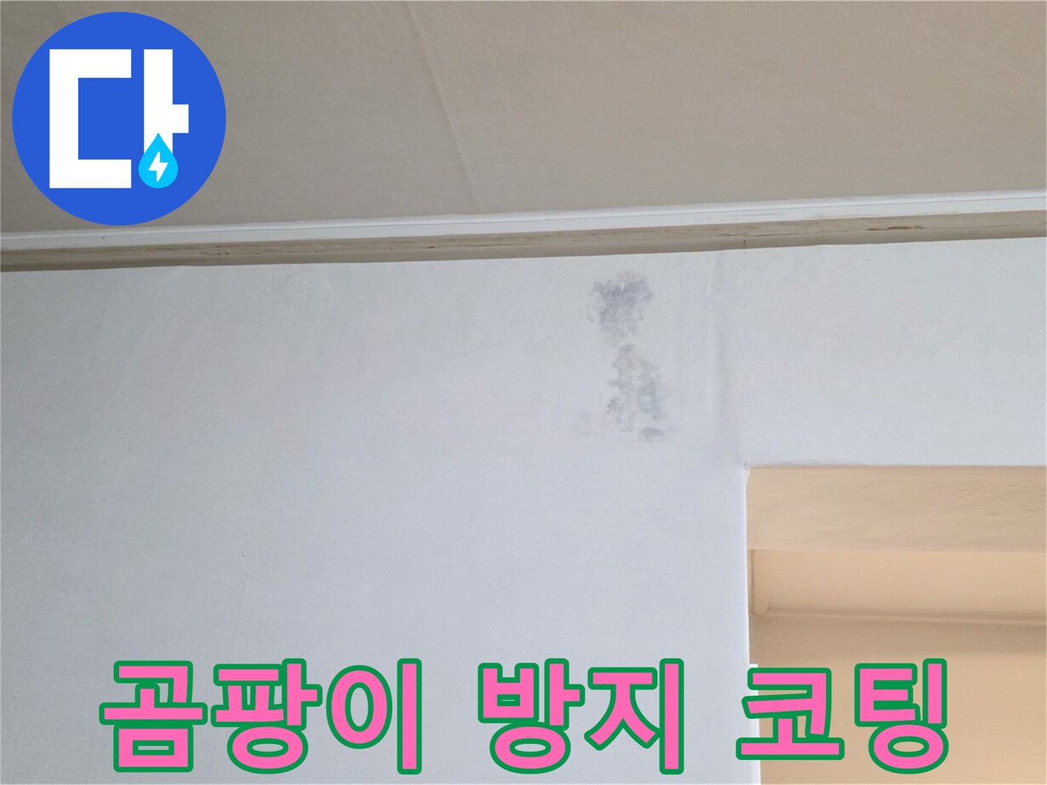 곰팡이 방지 코팅 작업 - 꼼꼼한 시공