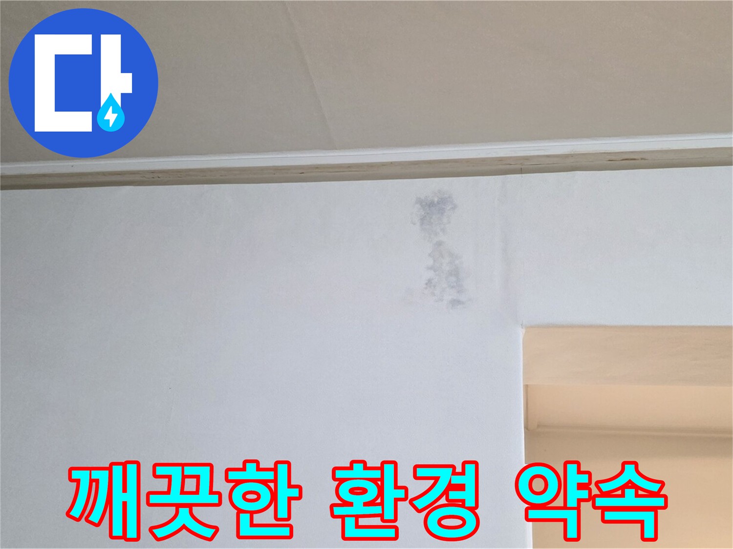 곰팡이 없는 깨끗한 환경 약속 - 건강한 생활