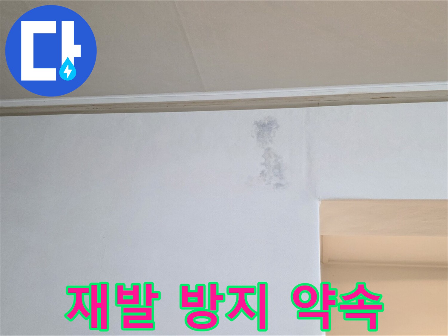 곰팡이 재발 방지 약속 - 책임 시공