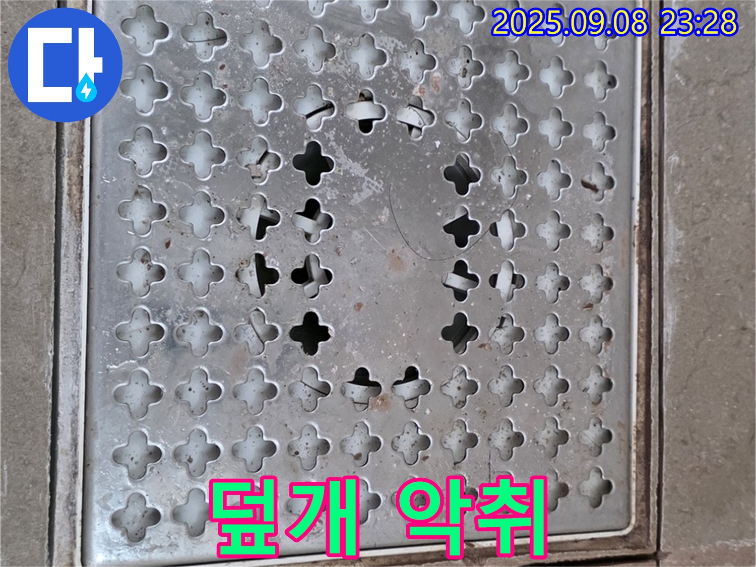 포천 일동 아파트 - 깨진 배수구 덮개에서 악취 발생