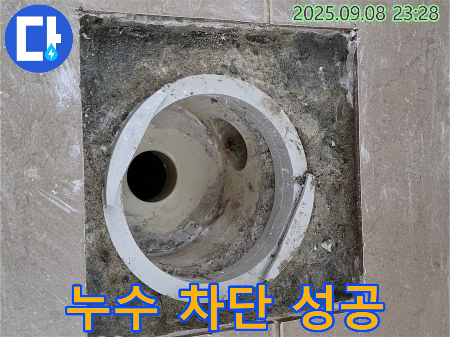 포천 일동 - 화장실 배수구 누수, 완벽 차단 성공!