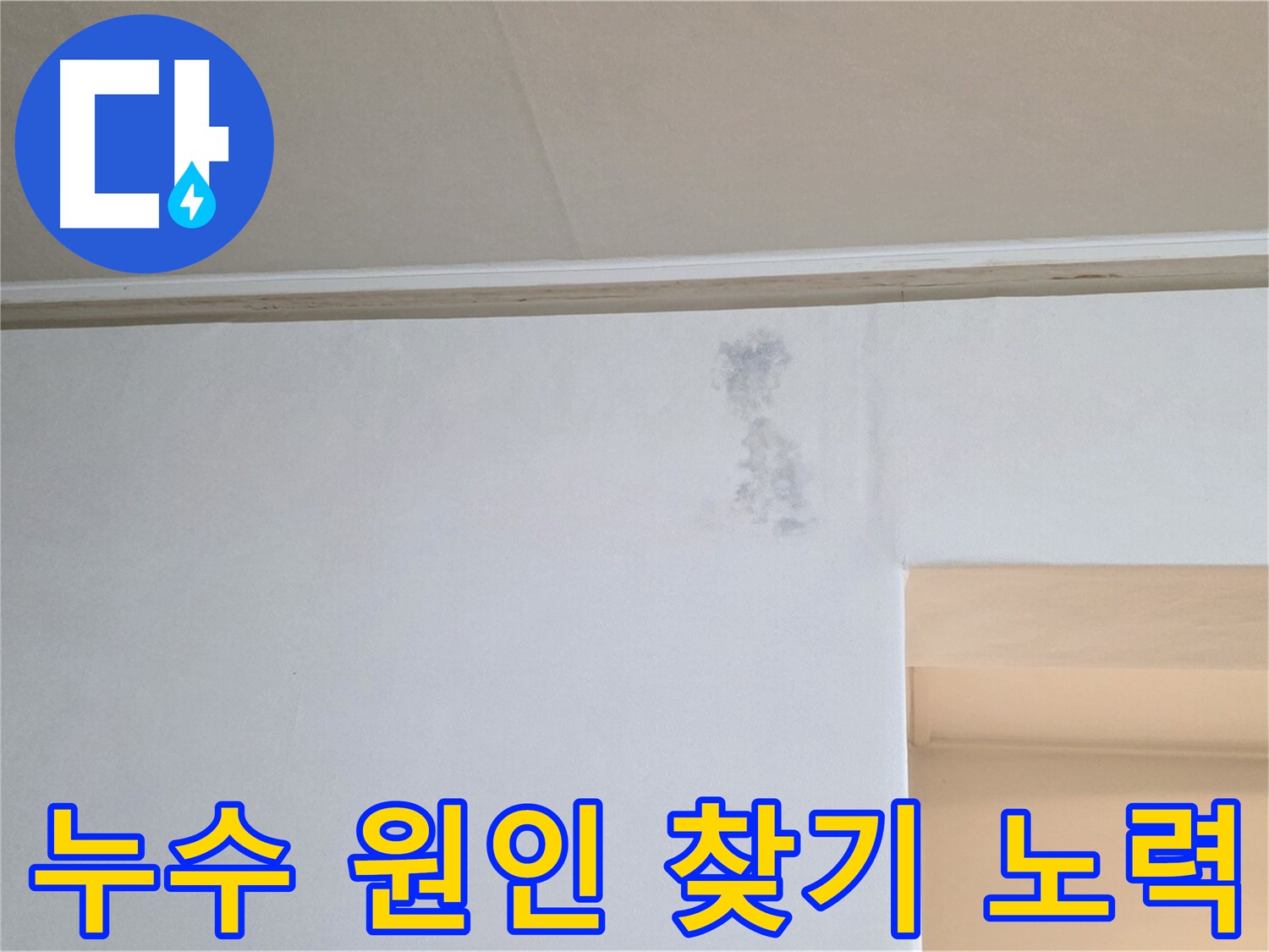 누수 원인 찾기 - 다양한 검사 방법 동원