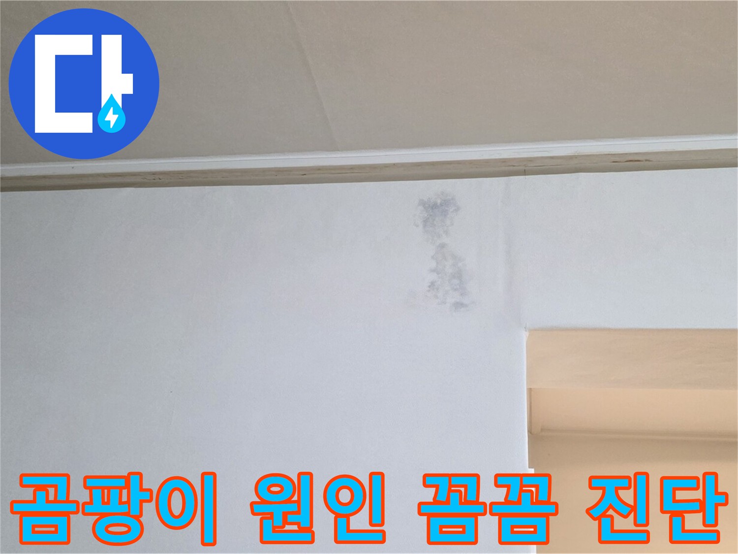 곰팡이 발생 원인 꼼꼼 진단 - 정확한 분석