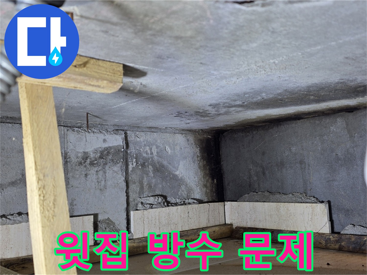 화장실 천장 내부 - 곰팡이