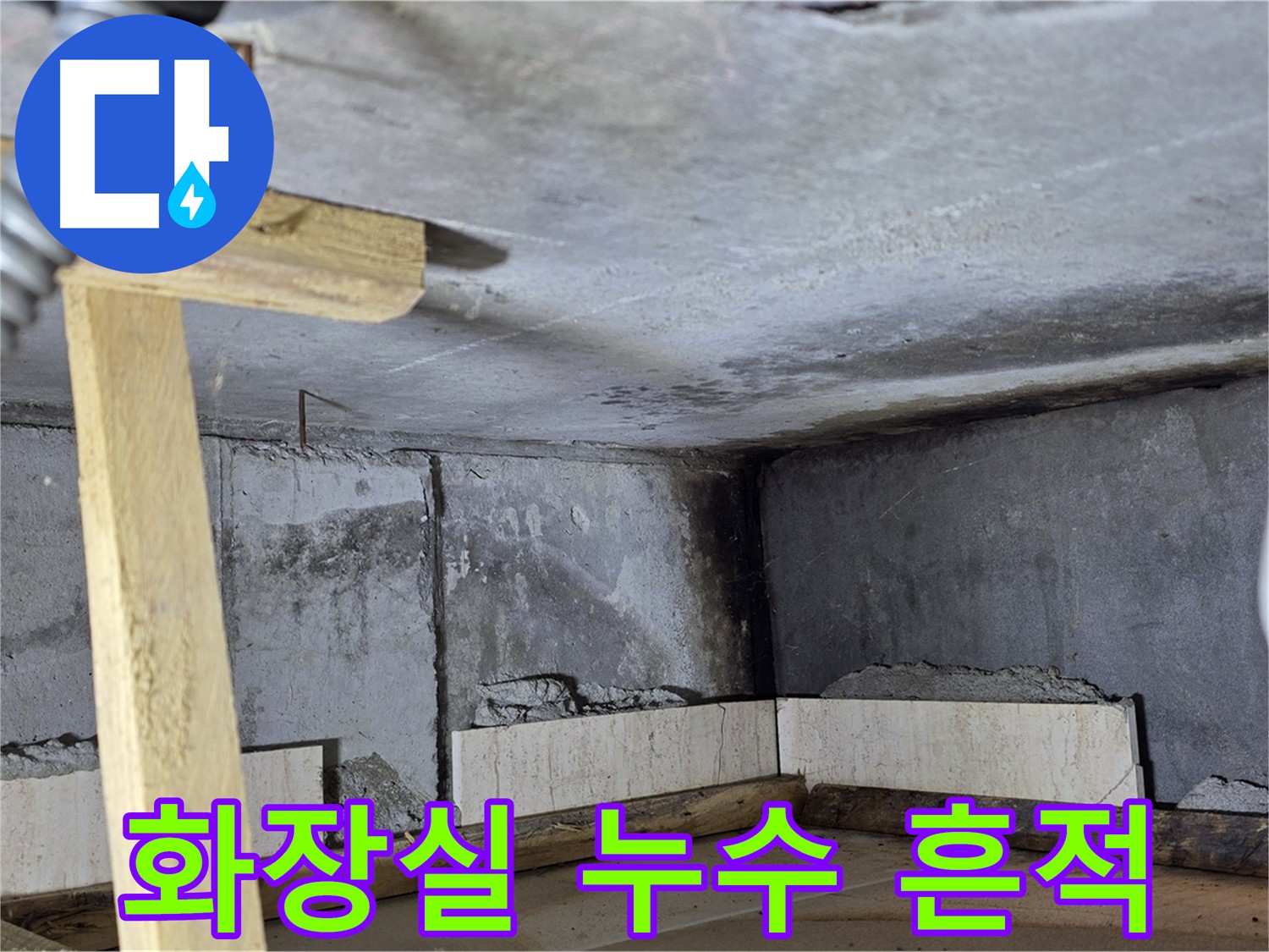 화장실 천장 내부 - 곰팡이