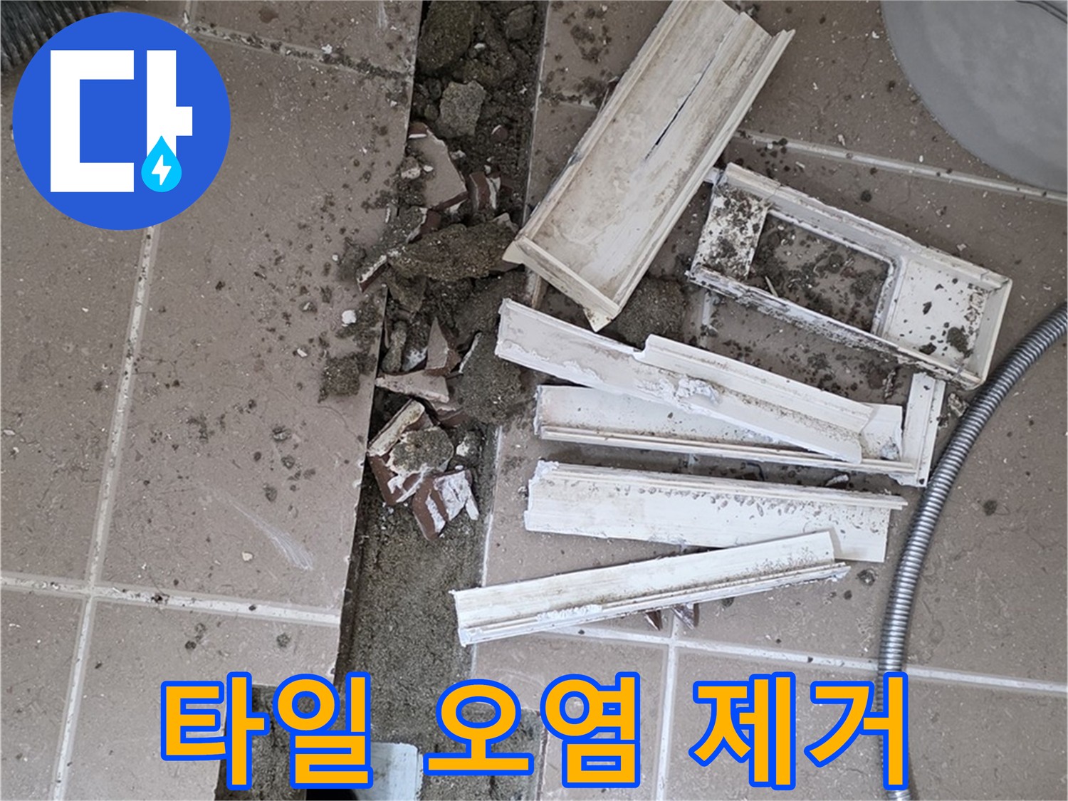 일동면 욕실 배수구 주변 타일 오염 제거 작업