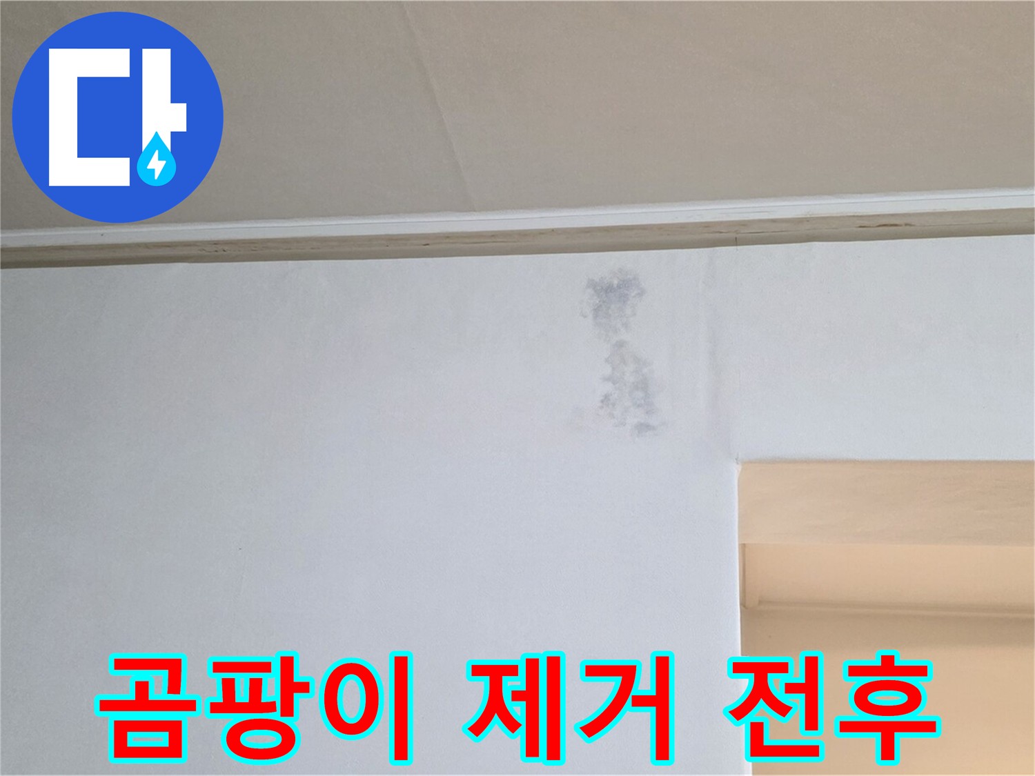 곰팡이 제거 전후 비교 - 확연한 차이