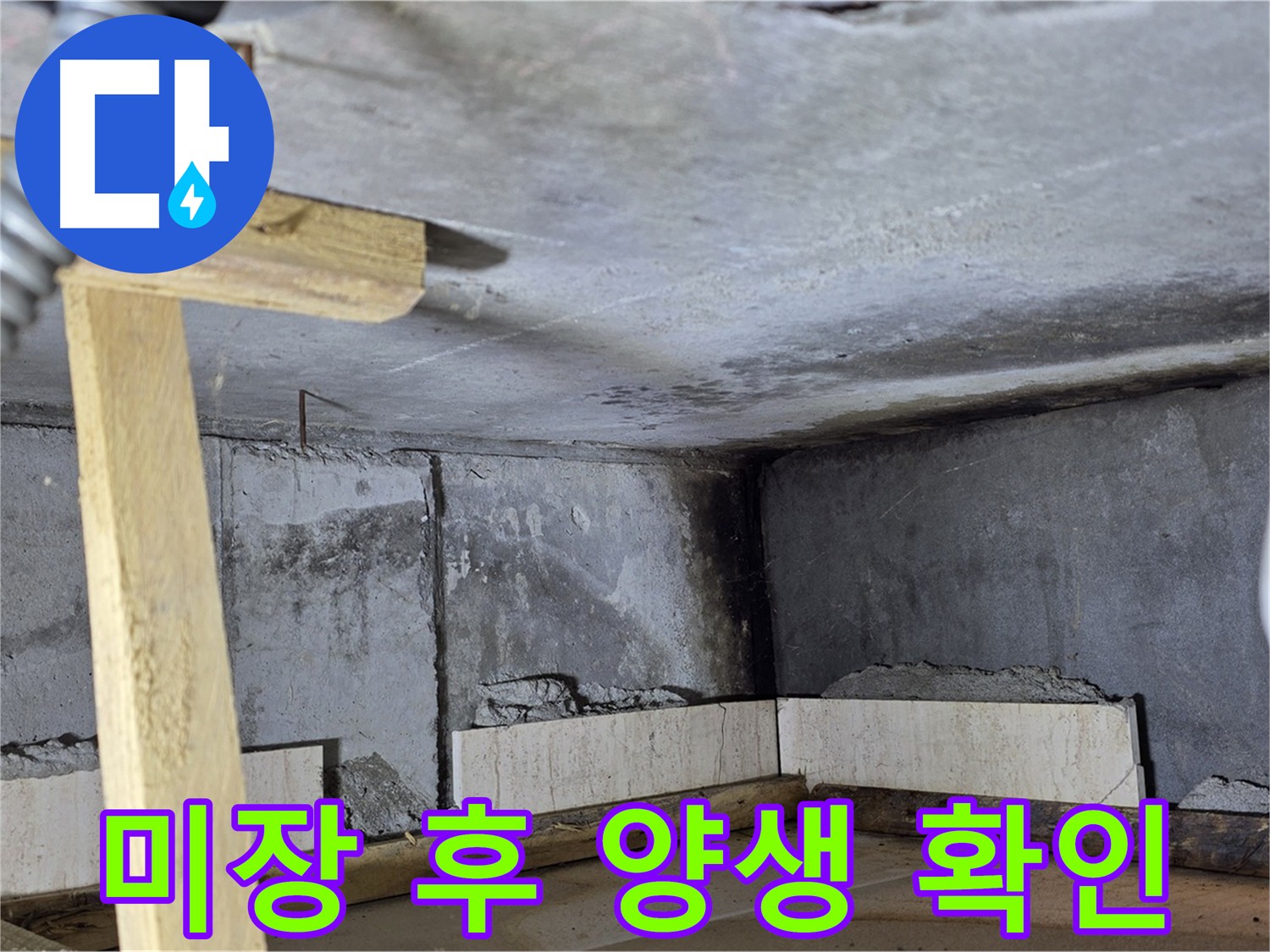 화장실 방수 미장 완료 - 양생 상태 꼼꼼 확인