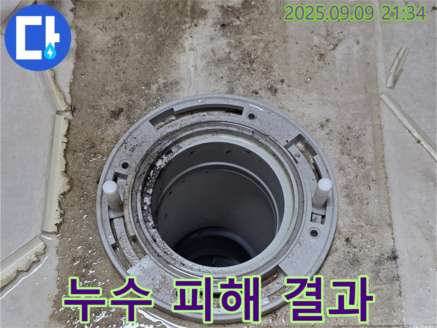 누수 피해 - 곰팡이로 오염된 천장