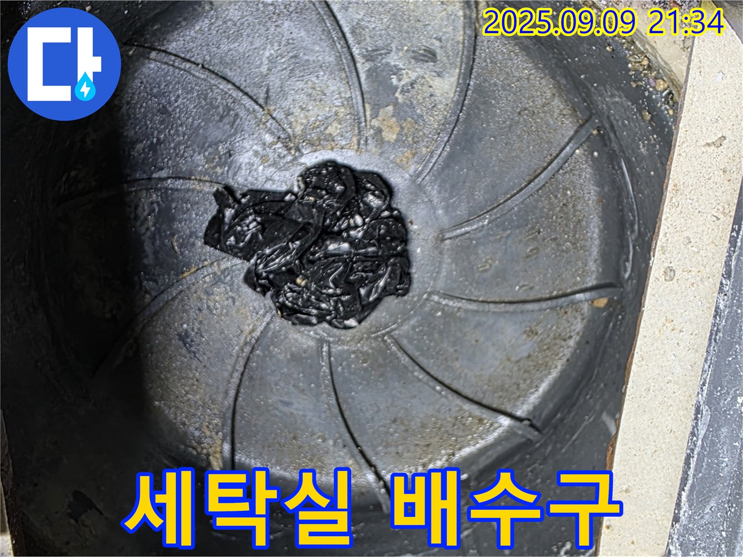 세탁실 배수구 - 역류의 원인