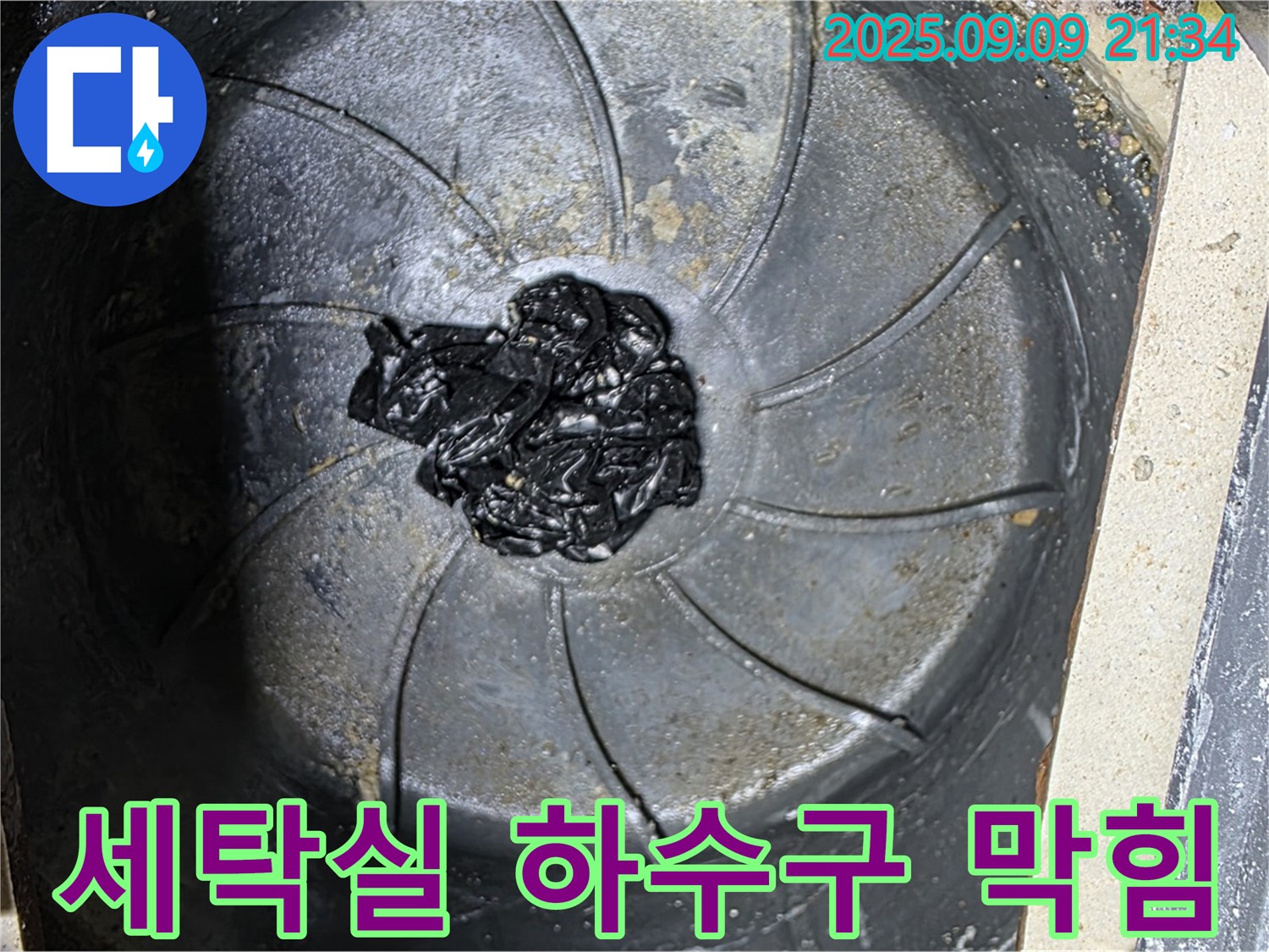 세탁실 하수구 막힘 - 역류의 주범