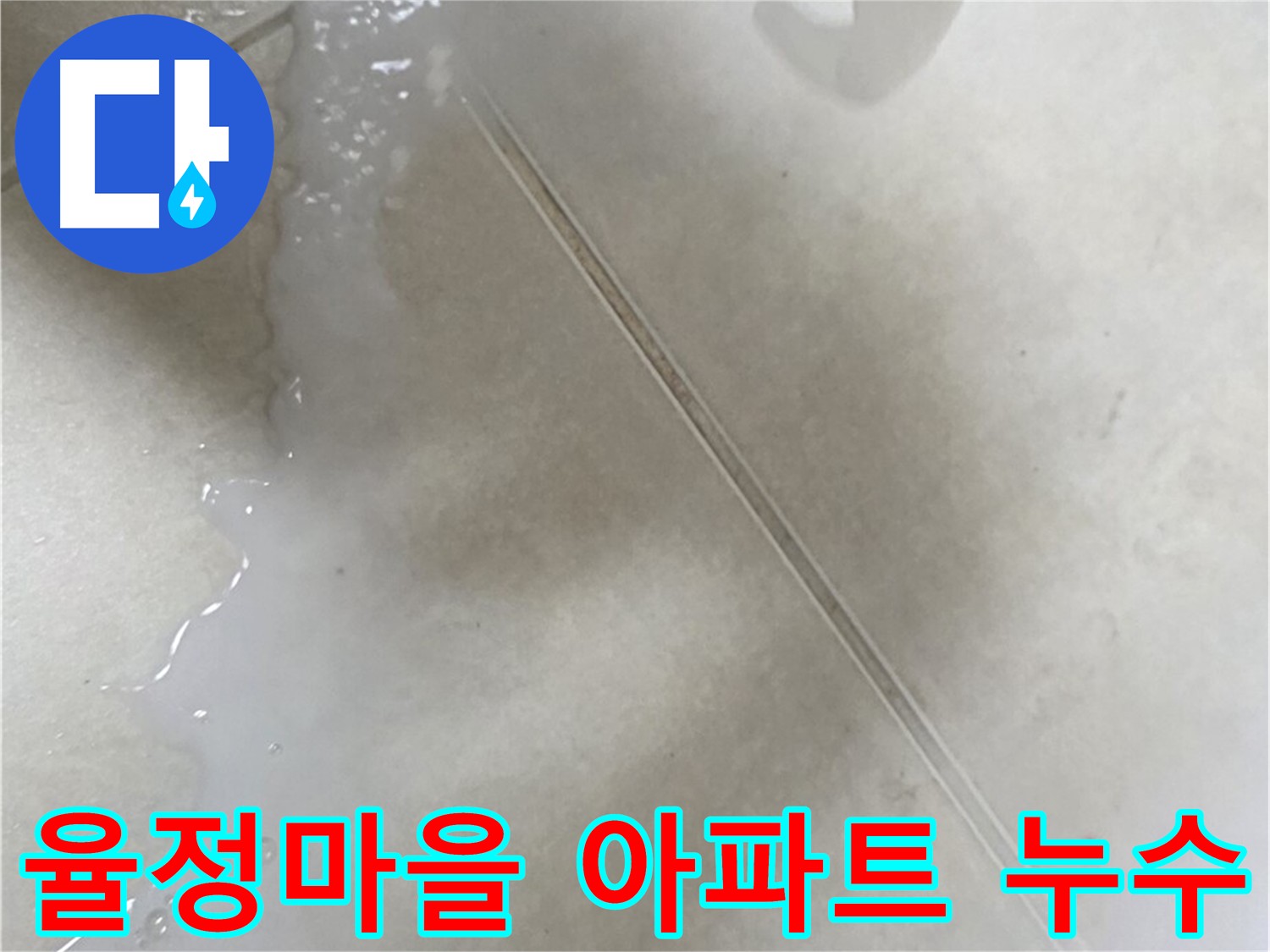 옥정동 율정마을 아파트 누수 - 전문 장비 사용