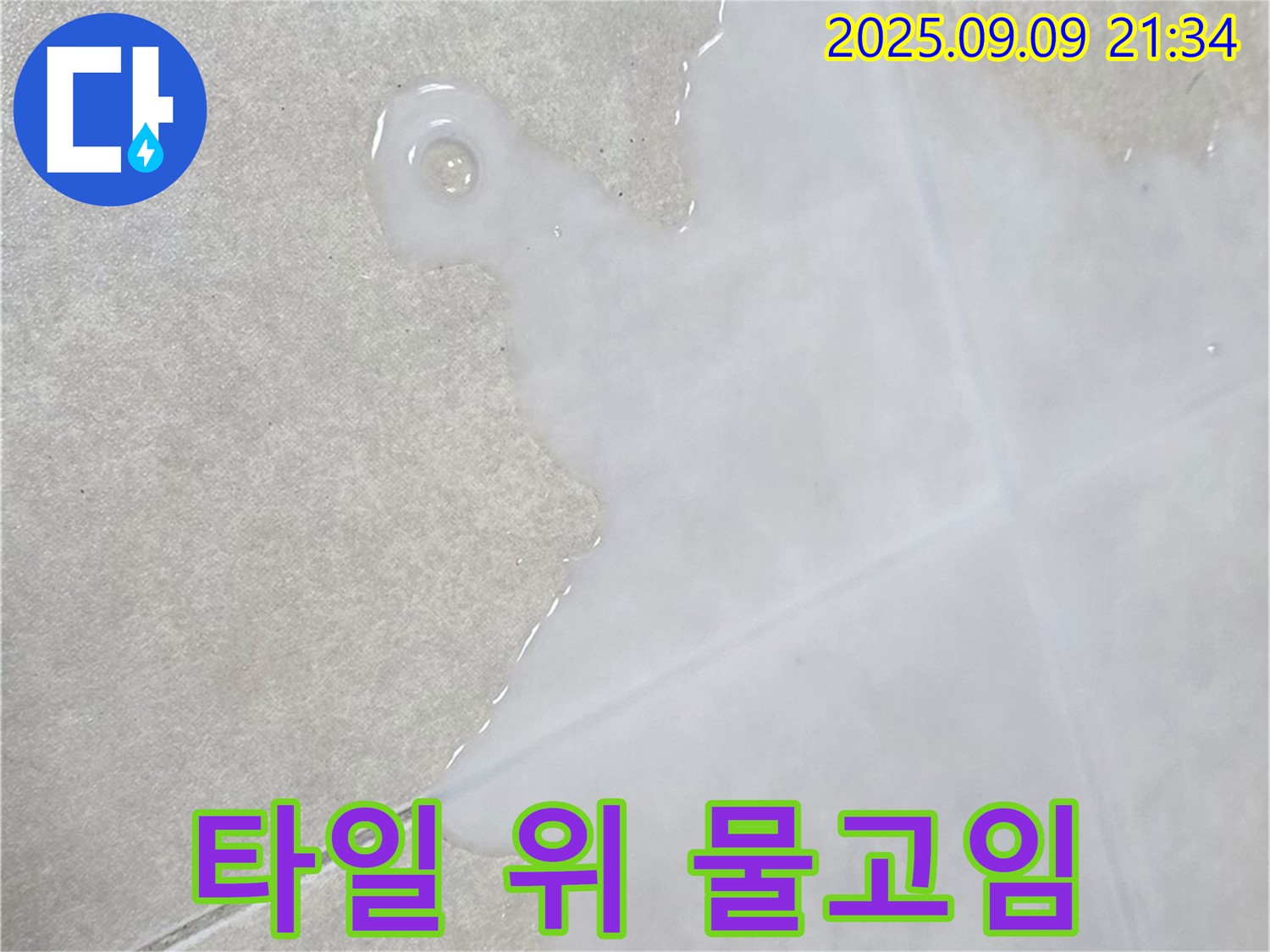 옥정동 율정마을 아파트 타일 위 물고임 - 꼼꼼한 진단, 합리적인 견적