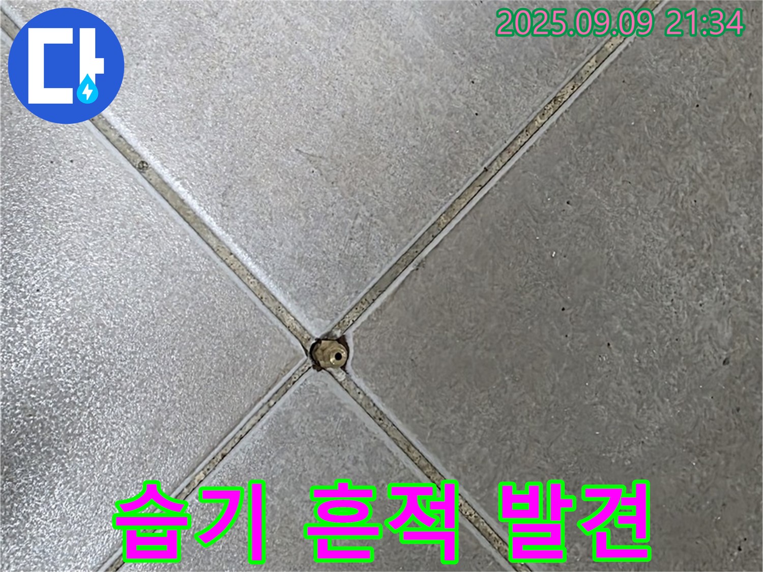 타일 틈새 누수 - 습기 흔적
