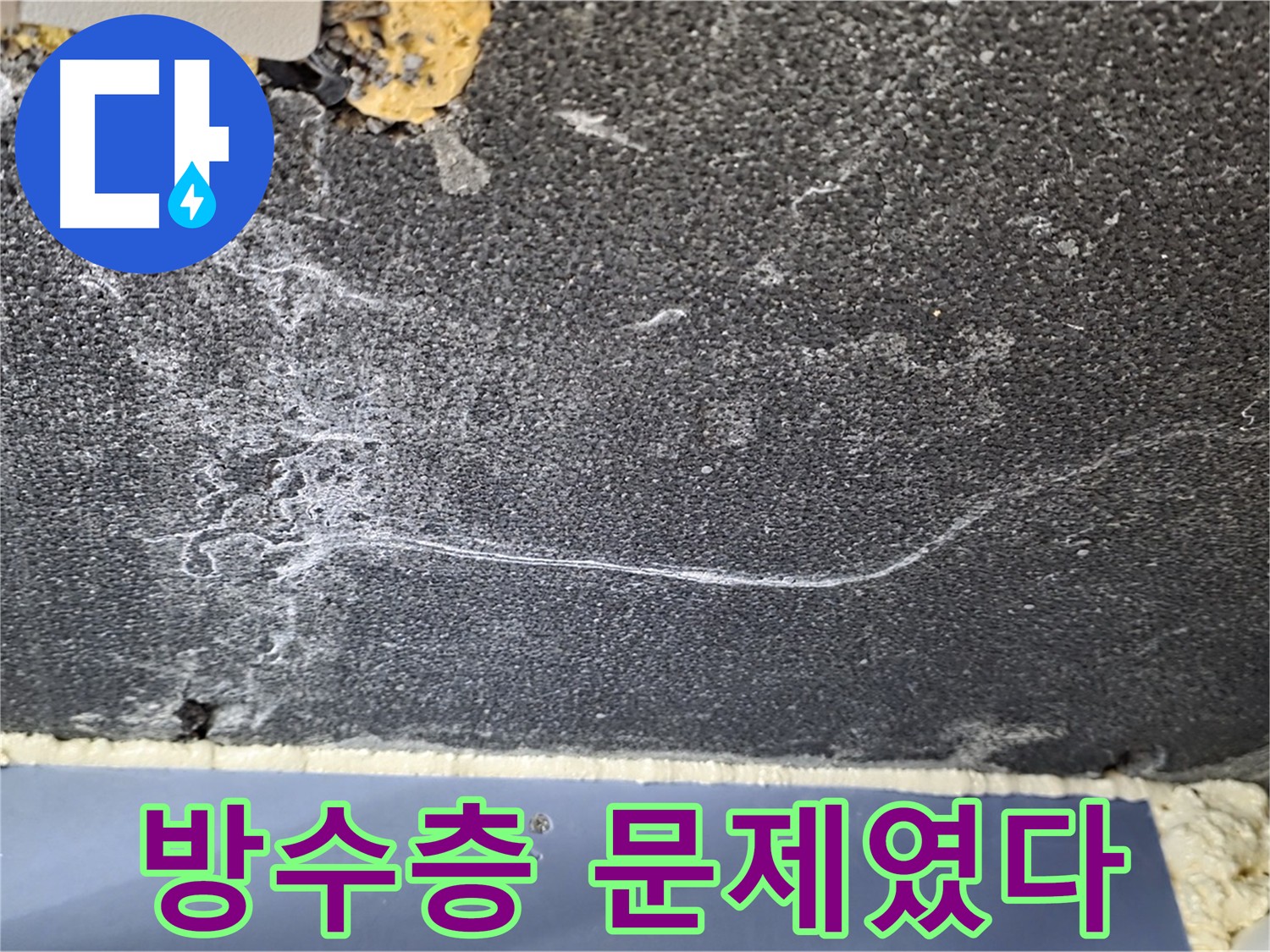 동패동 화장실 누수 - 방수층 균열이 원인