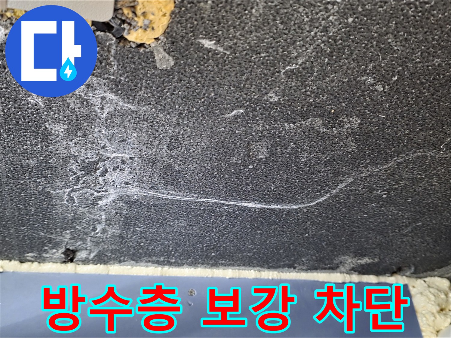 파주 화장실 누수 해결 - 방수층 보강으로 누수 차단