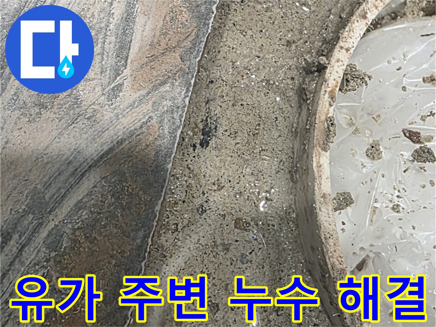 동패동 아파트 유가 누수 문제 - 전문가 도움 필요
