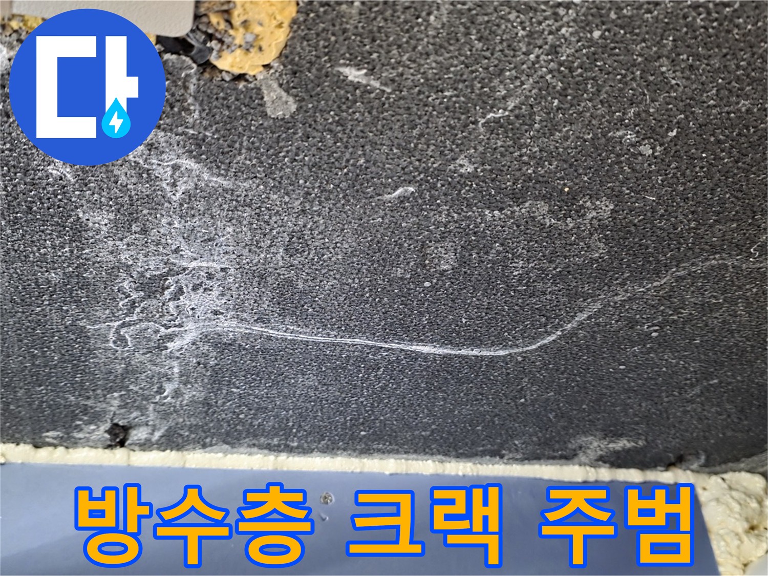 동패동 아파트 화장실 누수 - 방수층 크랙으로 인한 누수