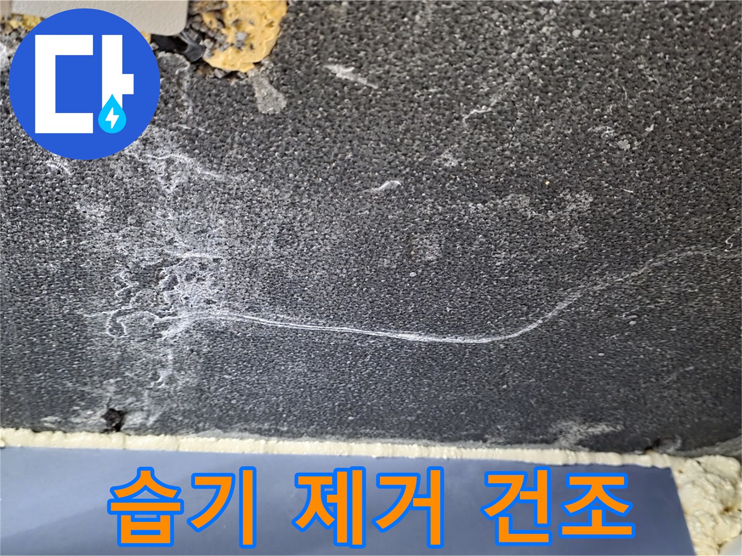 파주 동패동 천장 누수 해결 - 습기 제거 및 건조 작업 진행