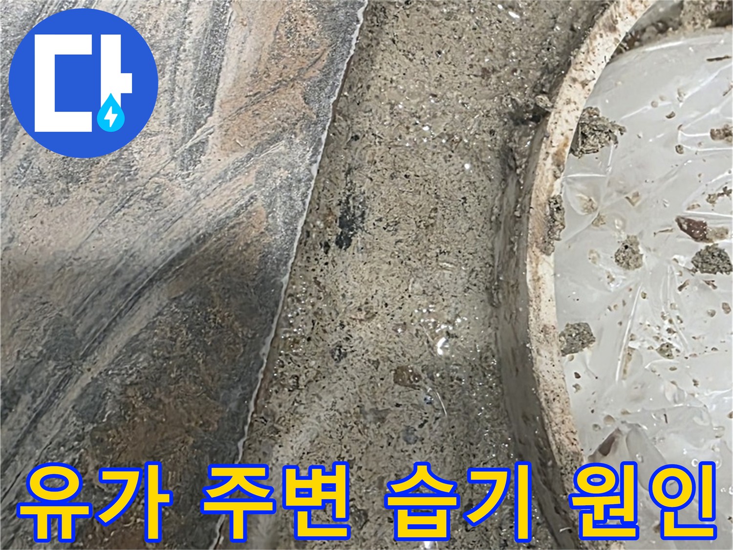 물이 고인 바닥 - 배관 또는 방수층 문제로 인한 누수 의심