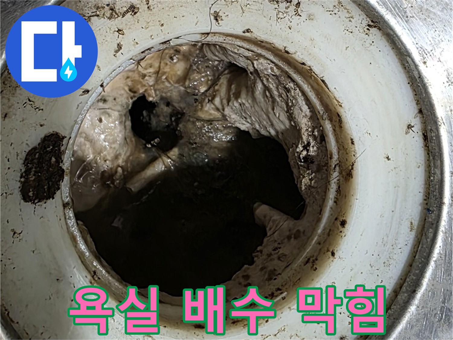 내시경으로 확인한 욕실 배수구 막힘 - 석션 및 스케일링으로 시원하게 뚫어 문제 해결