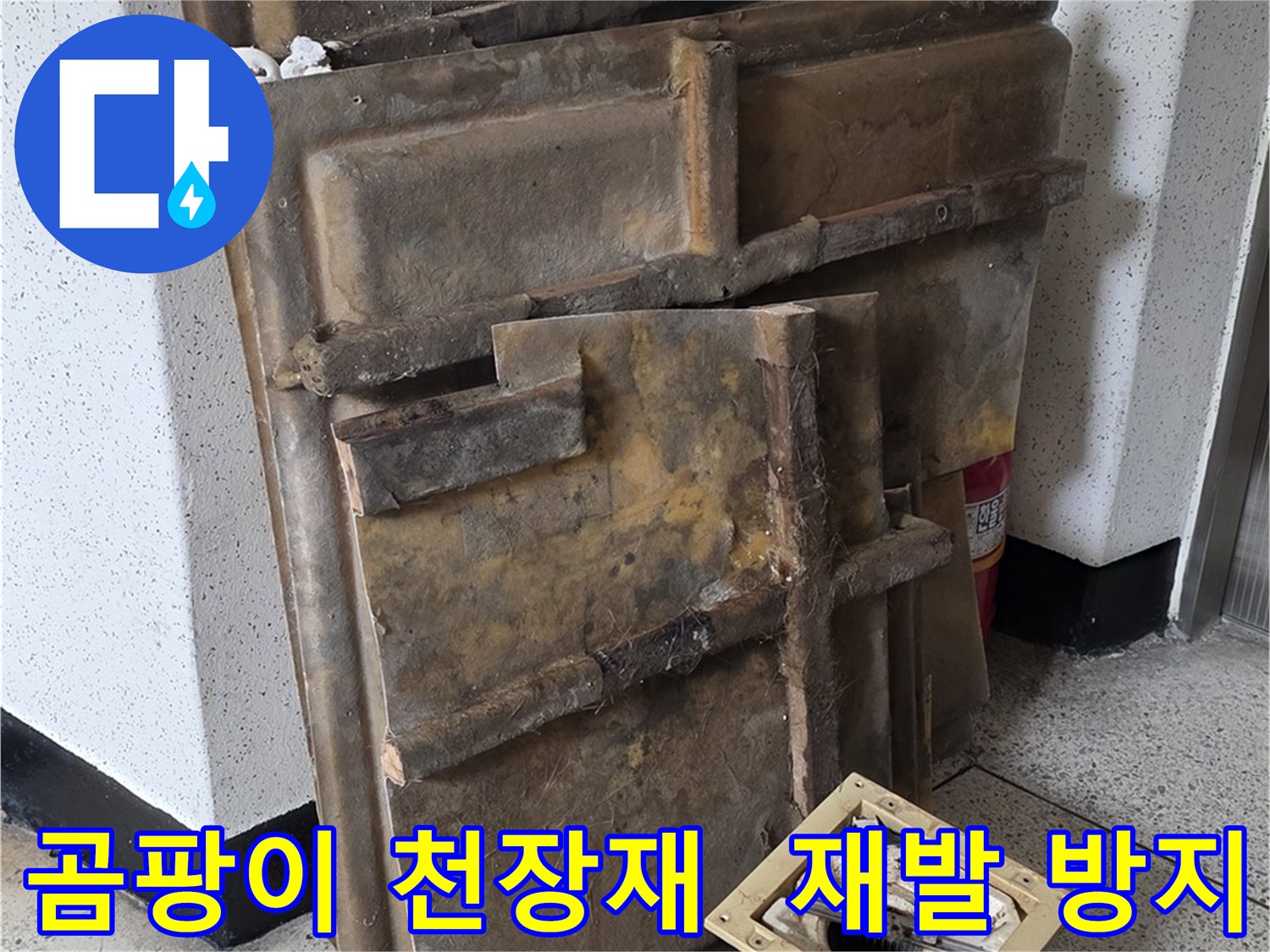 곰팡이 핀 천장재와 조명 - 곰팡이 재발 방지 시스템
