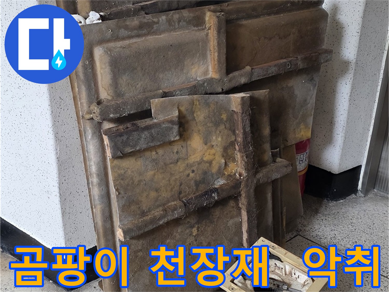 곰팡이 핀 천장재와 조명 - 불쾌한 악취 발생