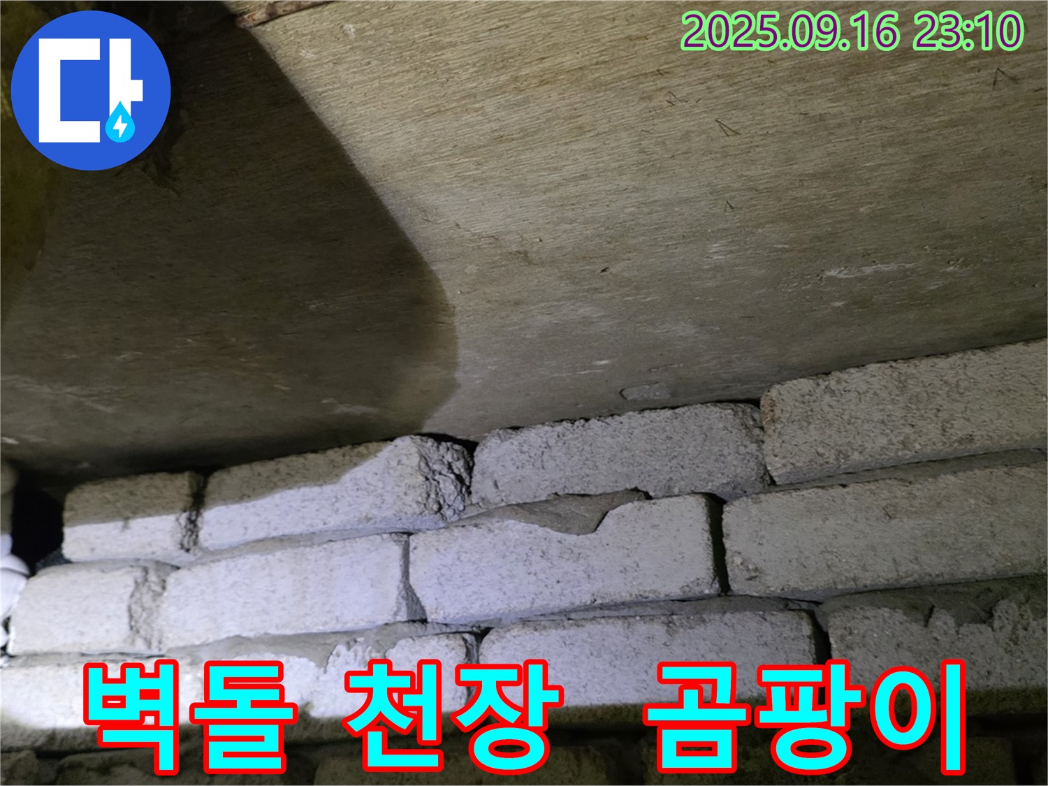 벽돌 천장 곰팡이 - 누수와의 연관성 정밀 조사