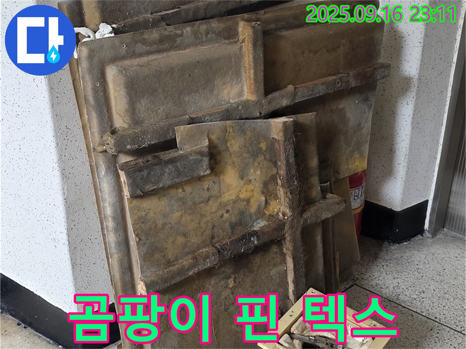 새절역 현대아파트 누수 - 곰팡이가 심하게 핀 천장 텍스