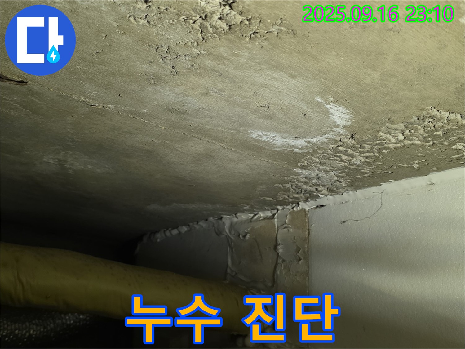 천장 누수 진단 - 전문 장비를 이용한 정확한 분석