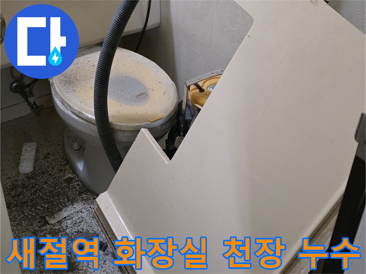 화장실 천장 누수 원인 파악을 위한 천장재 탈거 및 내부 확인