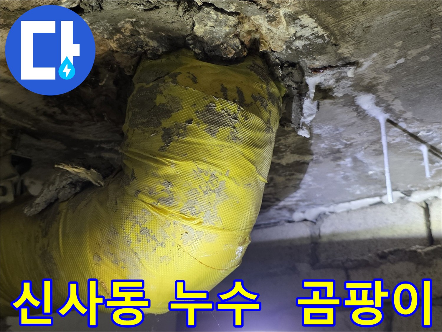 천장 누수와 곰팡이 - 신사동 아파트 긴급 점검