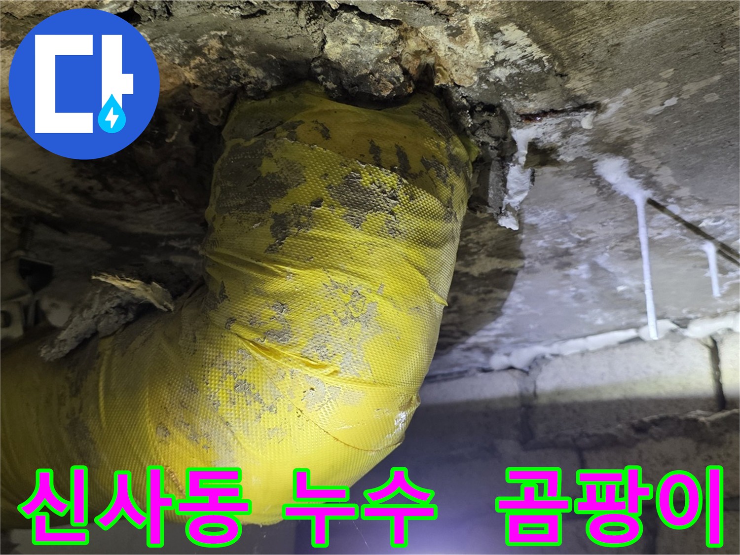 오래된 하수배관 누수와 곰팡이 서식 - 알레르기 및 호흡기 질환 유발 가능성