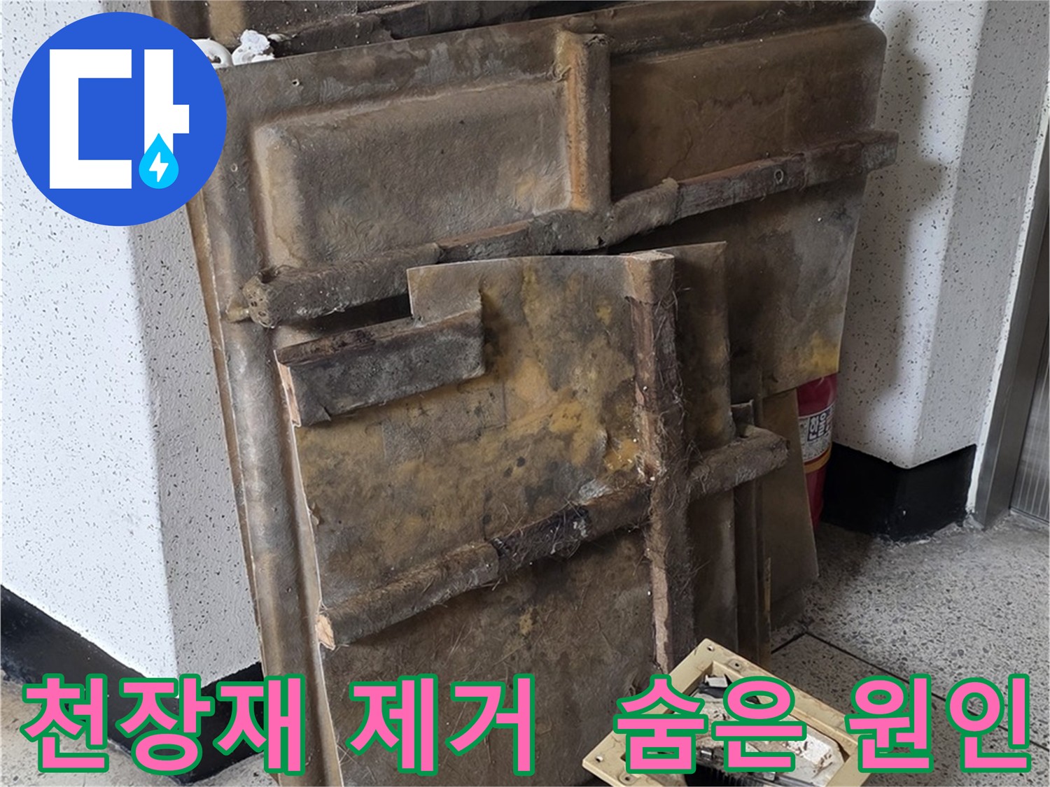천장재 제거 후 숨겨진 누수 원인 찾기!