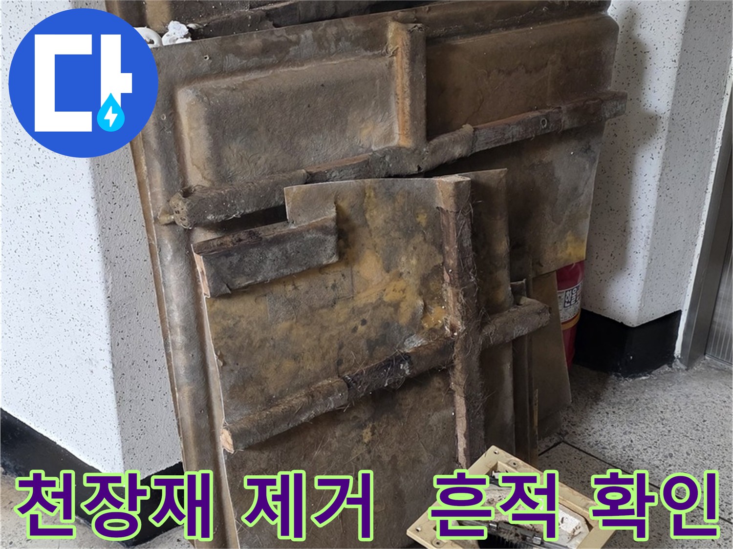 천장재 제거 후 누수 흔적 꼼꼼 확인!
