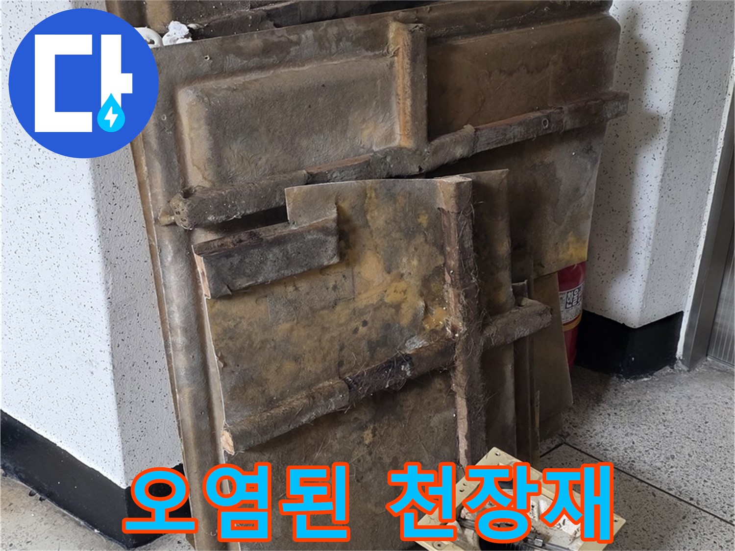 흉물스럽게 변해버린 천장재와 조명