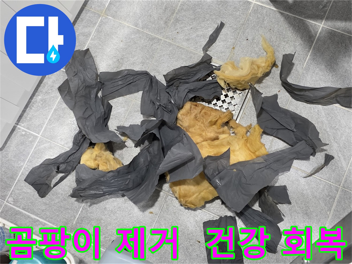 곰팡이 방음재 제거 - 건강을 되찾으세요