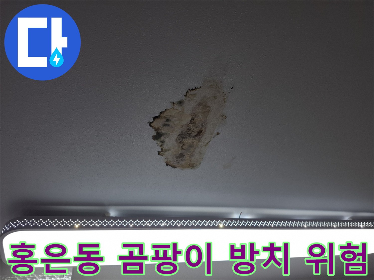 홍은동 천장 곰팡이 - 건물 손상 및 건강 악영향 방지를 위한 조기 제거 및 누수 원인 해결
